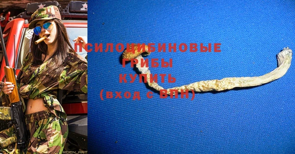 стафф Алзамай