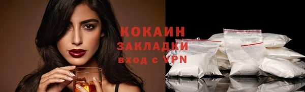 стафф Алзамай