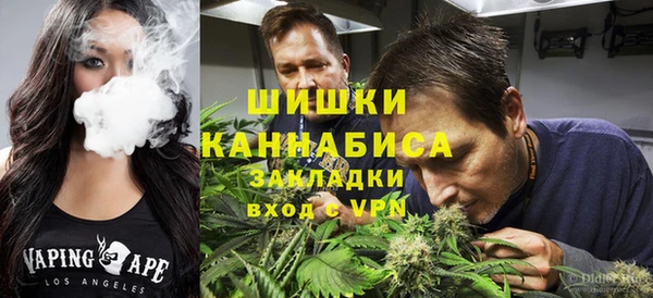 бошки Алексин