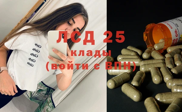 стафф Алзамай