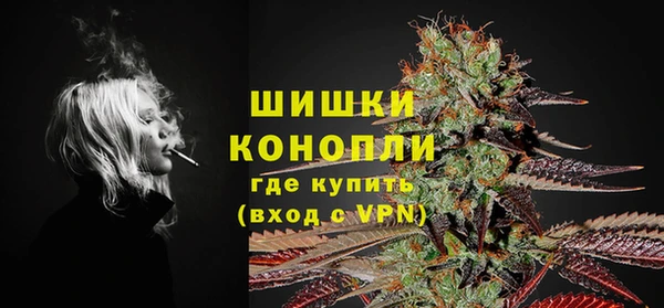 бошки Алексин