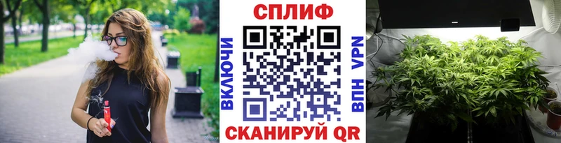 дарк нет телеграм цены Аргун Бошки Шишки MAZAR